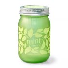  image shows Modern Sprout Herb Garden Jar | Mint against a blank, white background Image