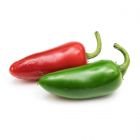 Veritable® Lingot Seed Pod | Jalapeño Hot Chili