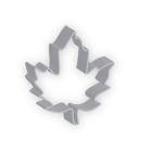 Ann Clark Cookie Cutter - Maple Leaf 5159A