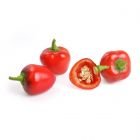 Veritable® Lingot Seed Pod | Organic Mini Red Bell Pepper
