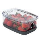 Progressive ProKeeper Plus Berry Container 