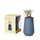 image shows Modern Sprout Tapered Tumbler | Eucalyptus  against a blank, white background Image