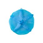 image shows Charles Viancin Starfish Lid | 8" against a blank, white background Image