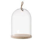 LSA Ivalo Dome & Ash | 8.75" X 11.25" Image