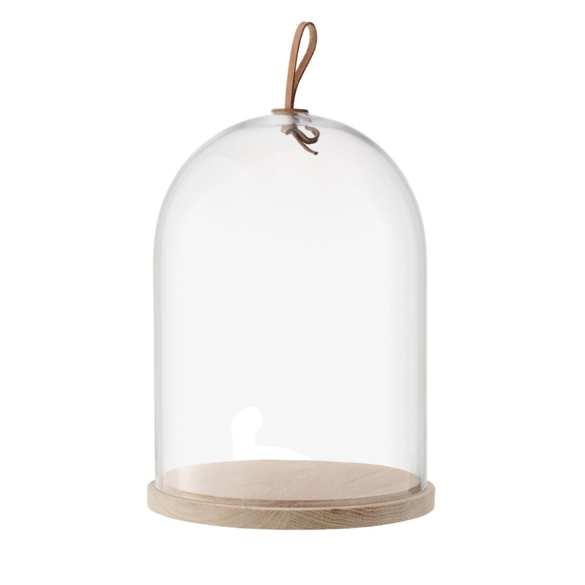 【Glass-roots】L.S.A dome Ivalo Dome & Ash (8.66