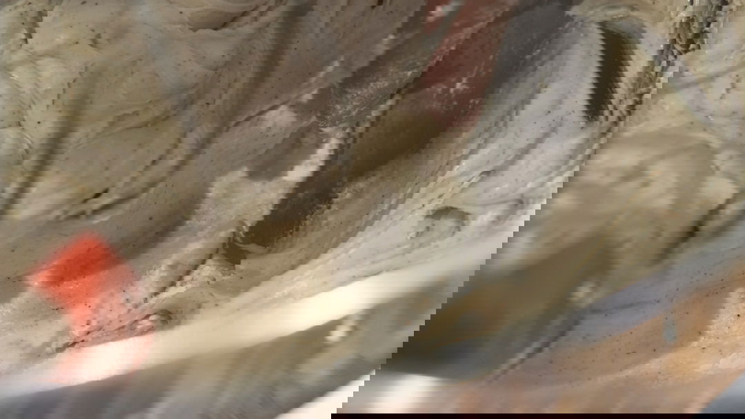 Blog Ankarsrum Assistant Mixer VS KitchenAid Professional 600 Stand Mixer