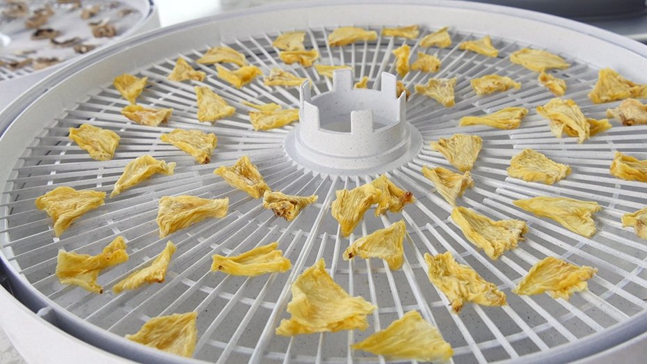 Nesco® Snackmaster Food and Jerky Dehydrator, 1 ct - Pay Less
