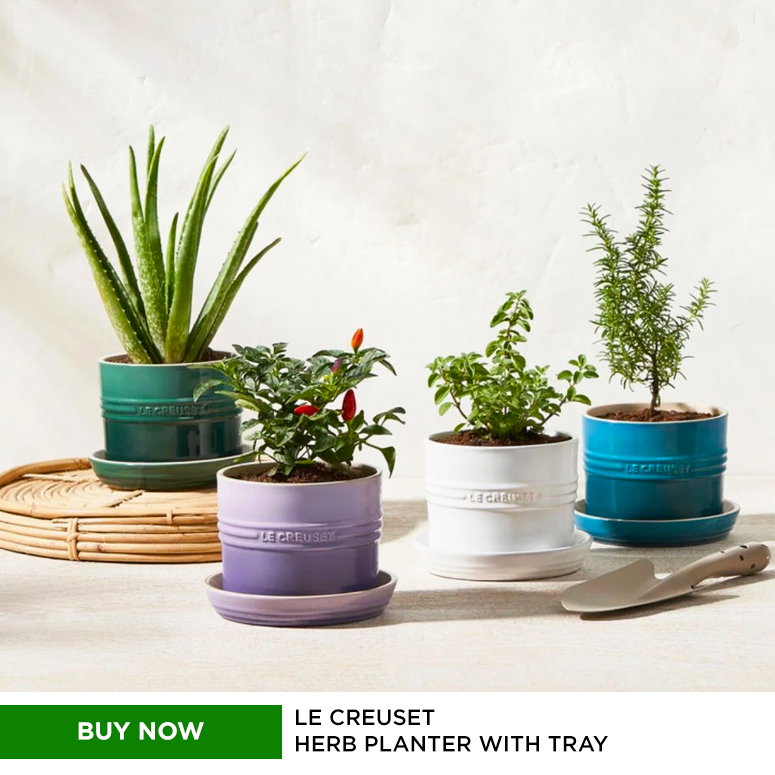 Le Creuset 5.5 Herb Planter | Nectar Buy Now Le Creuset Planters