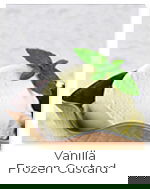 Vanilla Custard Recipe Vanilla Frozen Custard Recipe