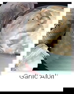 Garlic Mayo Aioli Garlic Mayo Aioli