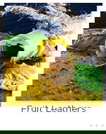 Fruit Leather Recipes