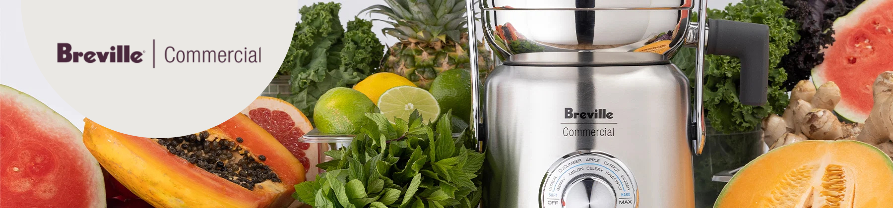 Photo of Breville Juicer