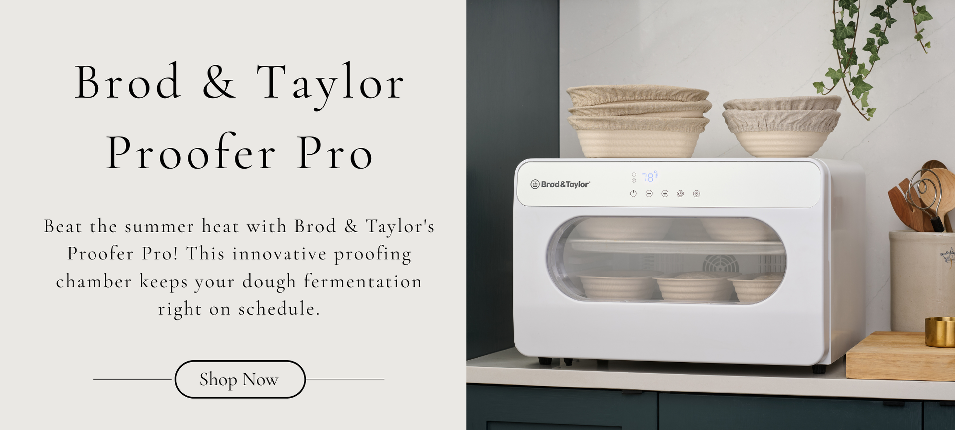 Brod and Taylor Proofer Pro Beat the summer heat with Brod and Taylors Proofer Pro! This innovative proofing chamber keeps your dough fermentation right on schedule.