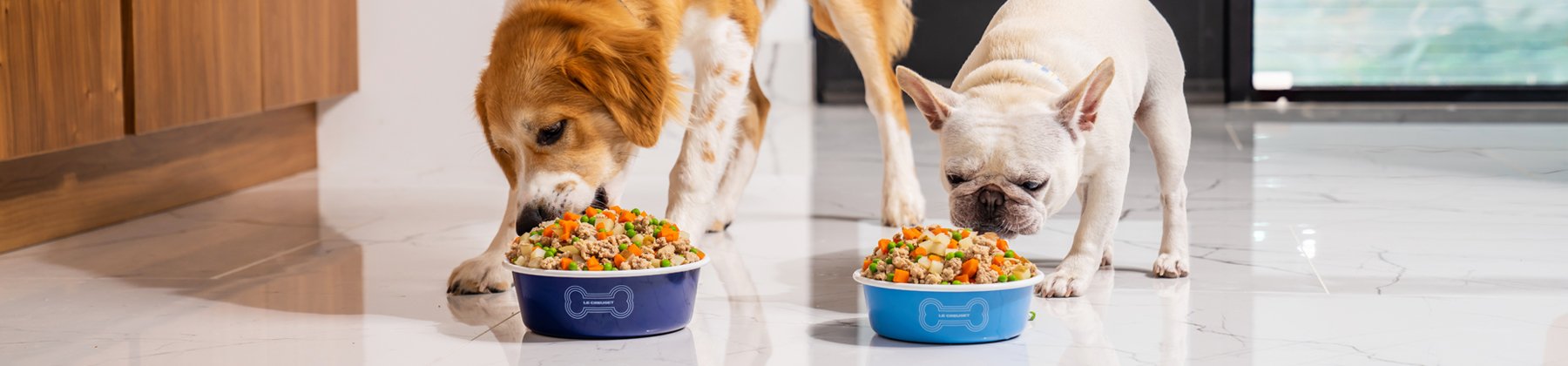 Photo of a Le Creuset pet bowls on the floor while 2 dogs eat from them.