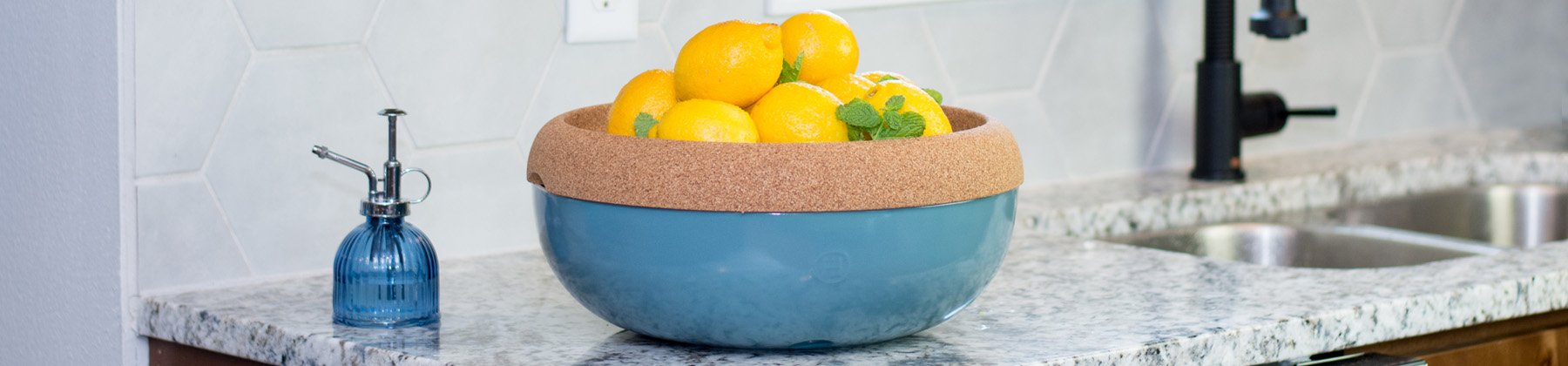 Photo of Emile Henry storage bowl with lemons.