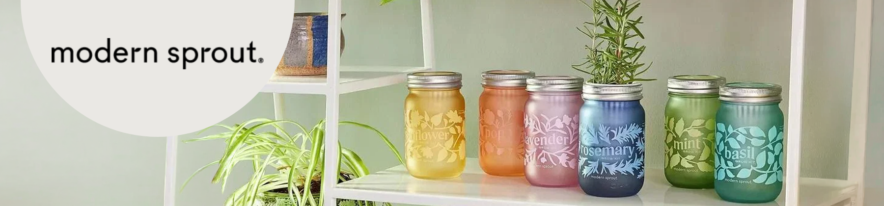 Photo of Modern Sprout Items