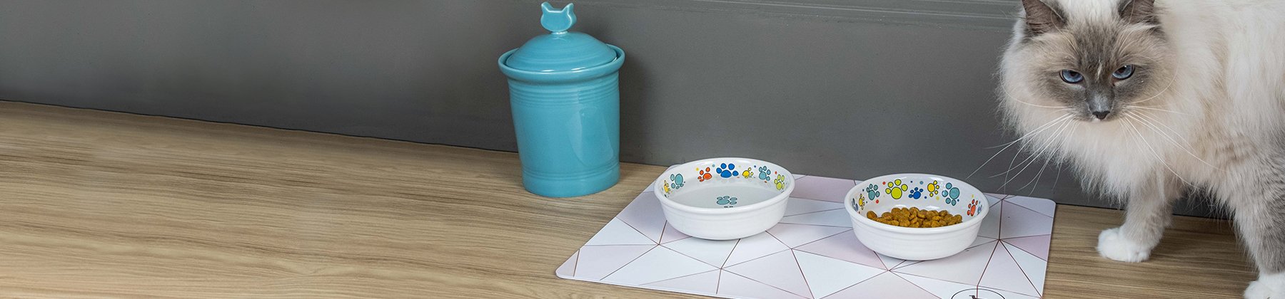 Photo of Park Life Designs mat and Fiesta pet bowls and pet canister.