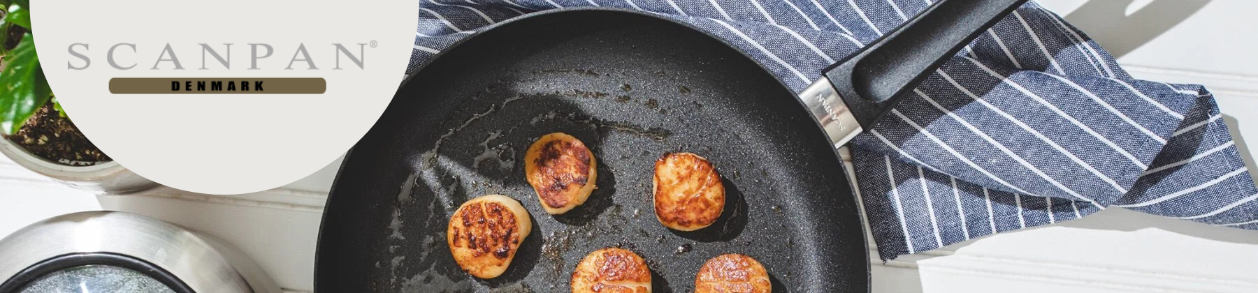 Scanpan banner image
