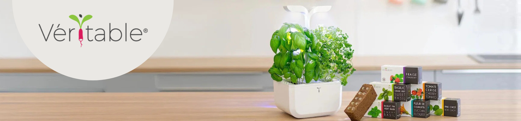 Photo of Veritable indoor garden on countertop