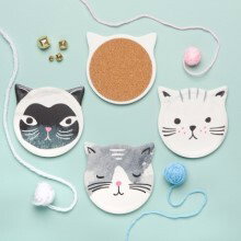 Cats and Critters