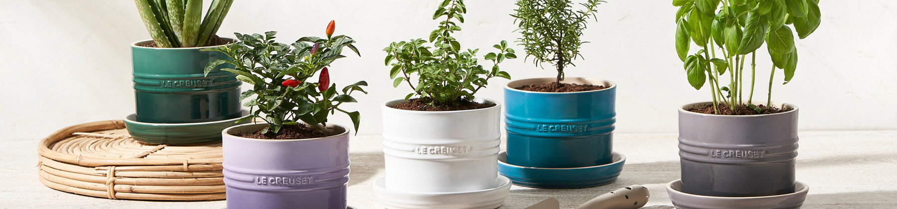 where to buy potting mix Coco Coir Potting Mix