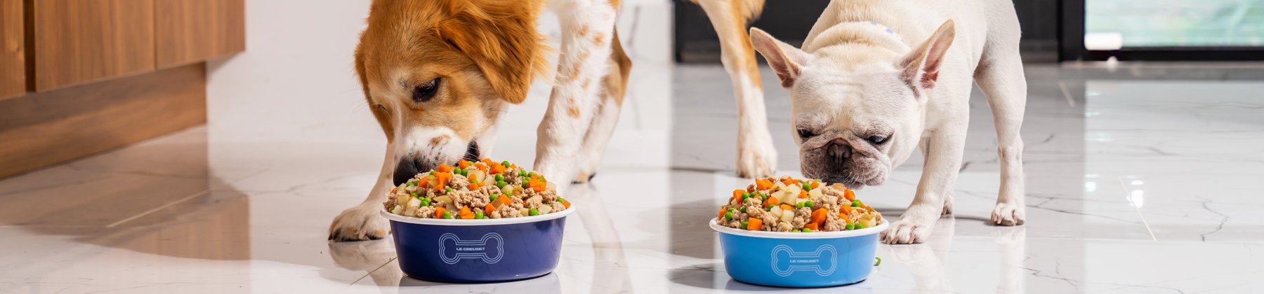 Photo of dogs with Le Creuset's pet bowls.